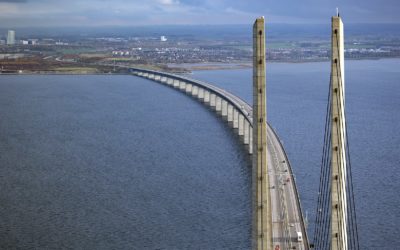 The Nordic Divide on Fighting COVID-19: Why are Denmark and Sweden Taking Drastically Different Approaches?